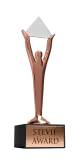 Asia Pacific Stevie Award
